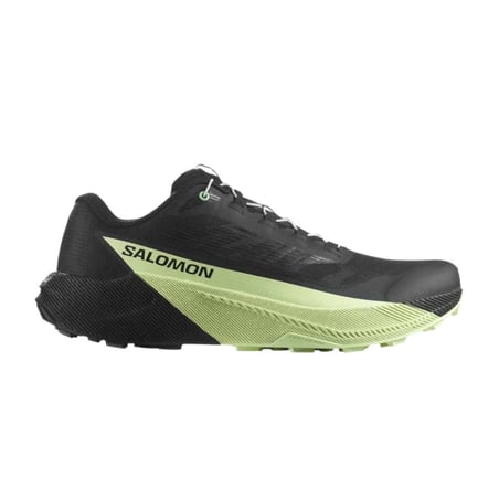 Salomon Pulsar hardloopschoenen Zwart Groen SS26