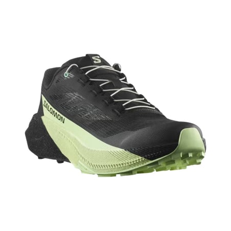 Chaussures Salomon Pulsar Noir Vert SS26