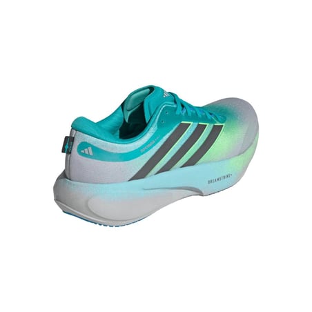 Scarpa Supernova Rise 3 Verde Blu SS26