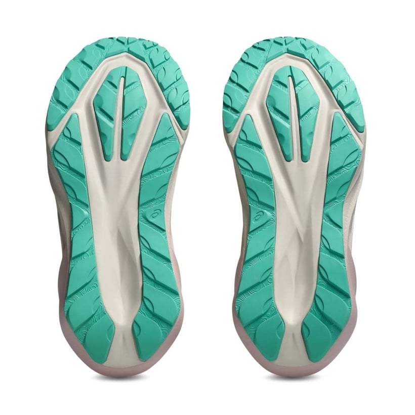 Chaussures Asics Novablast 5 TR Nature Bathing...