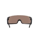 POC Propel Brille Schwarz mit braunem Glas