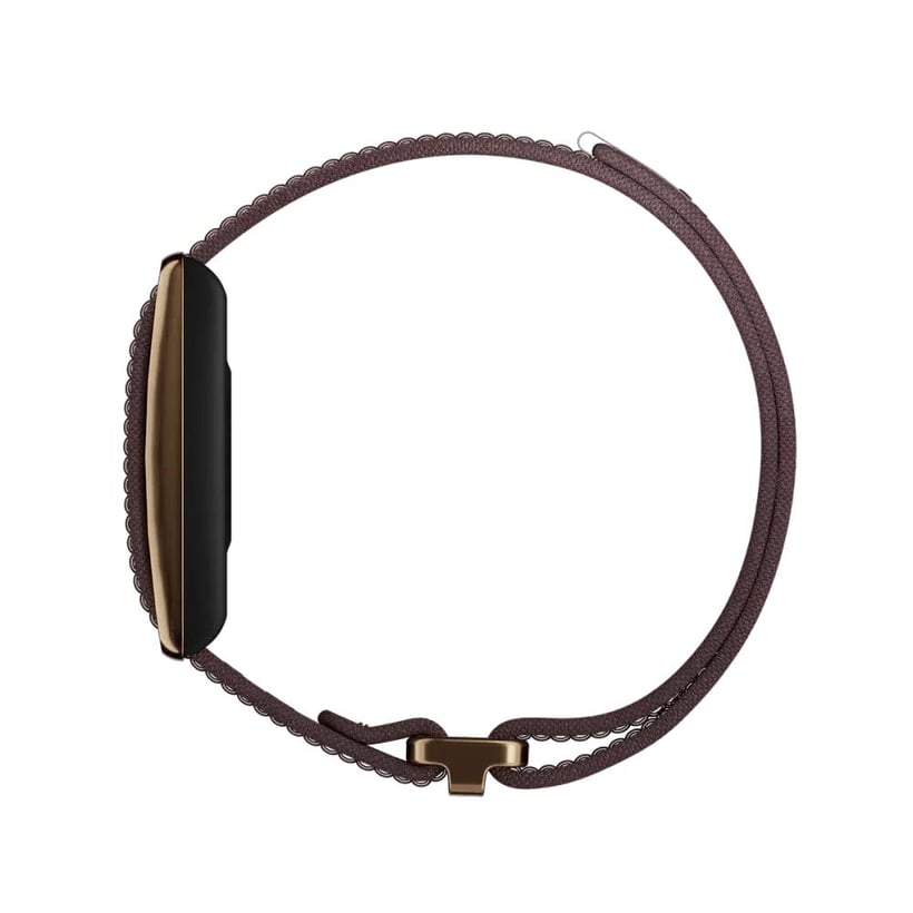 Polar LOOP Activity Band Brown