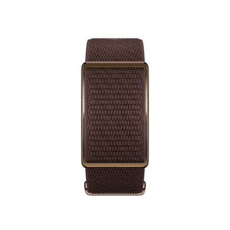 Polar LOOP Activity Band Brown