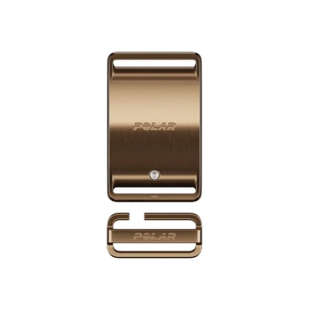 Polar LOOP Activity Band Brown