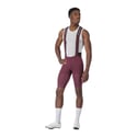 Culote Castelli Premio Evo Morado