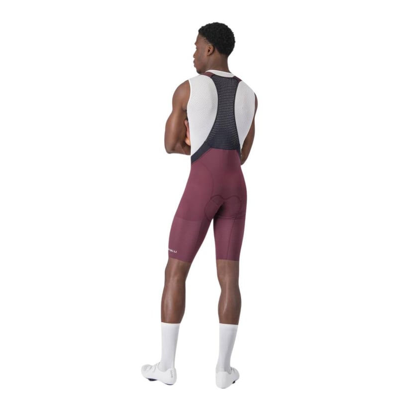Corsaro Castelli Premio Evo Viola