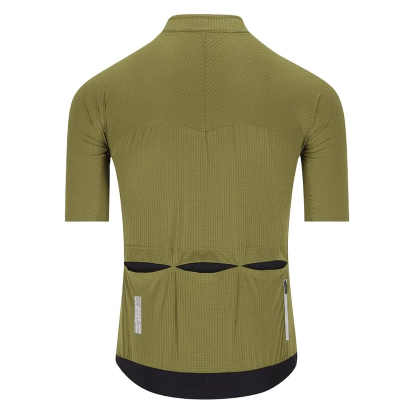 Maillot Q36.5 Dottore Pro Vert