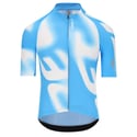 Maillot Q36.5 Gregarius Pro Big Logo Bleu