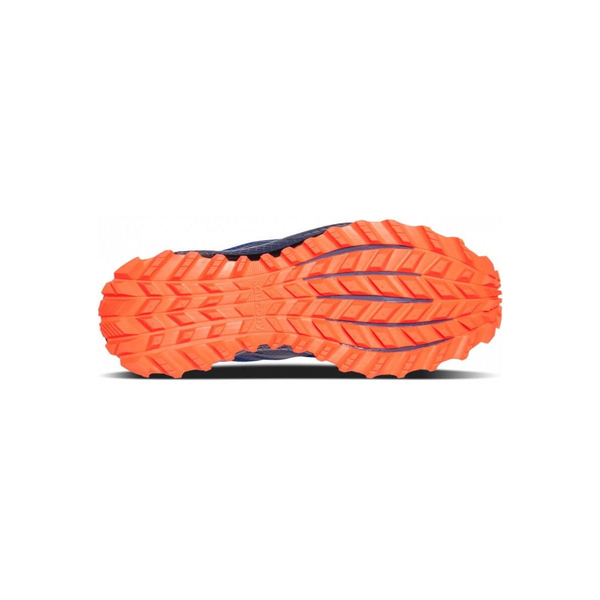 Saucony xodus iso on sale 3 vs peregrine 8