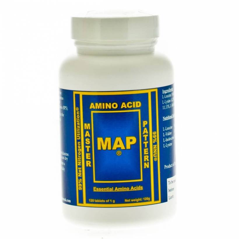 Modèle principal d’acide aminé MAP