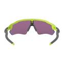 Oakley Radar EV Path 9208-4938
