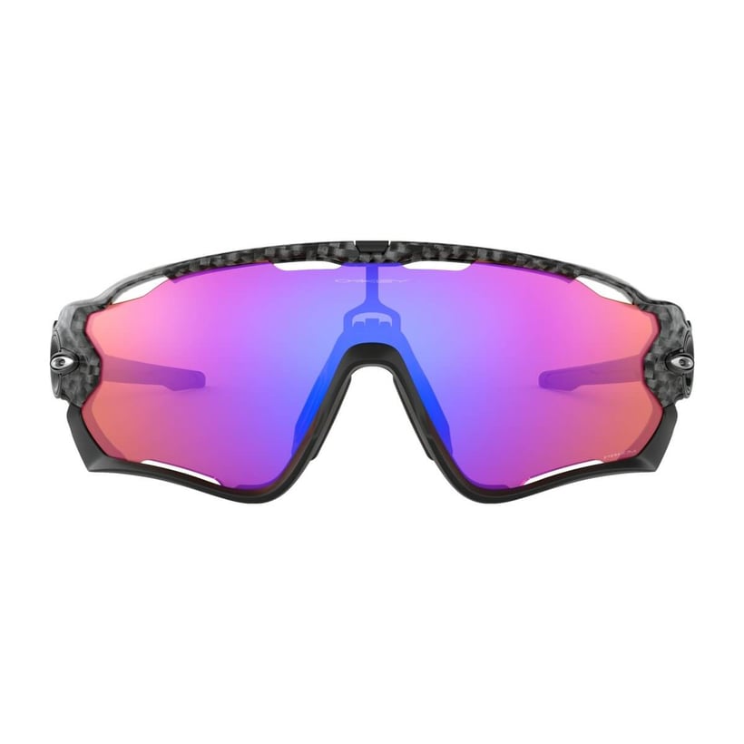Wunderschoene Oakley Schutzbrille Bildnie12770