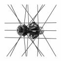 Campagnolo Bora WTO 60 DB Dark Label Wheelset