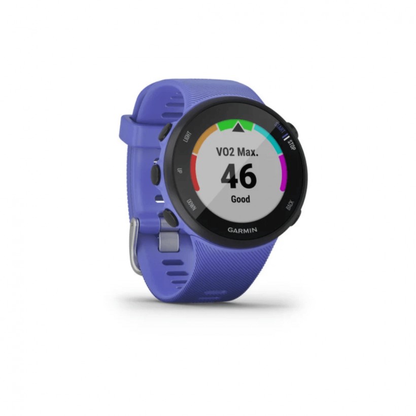 Garmin Forerunner 45S Iris