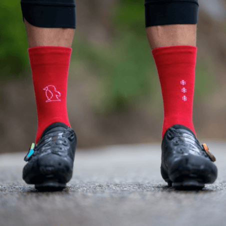 Calzini Sporcks Winter Days Blu Rosso Bianco