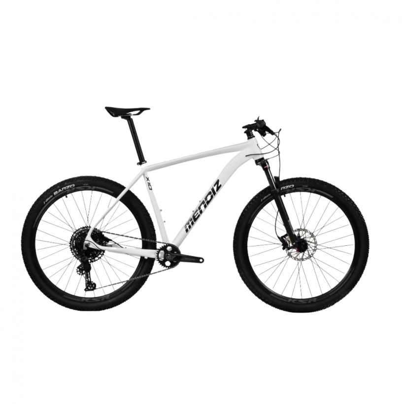 Rower MENDIZ X10.03
