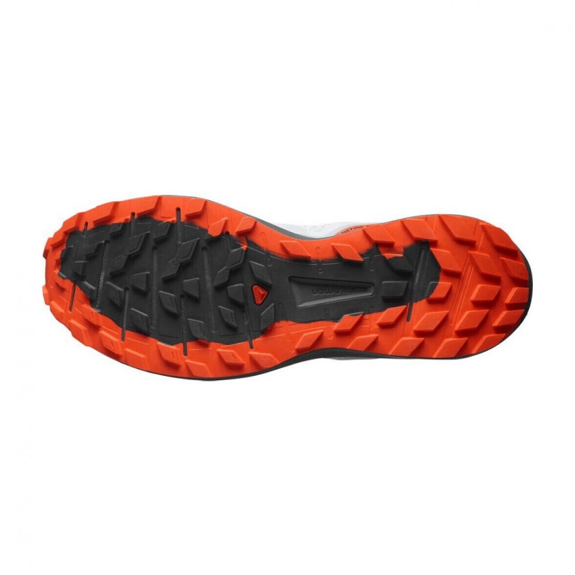 Salomon Sense Ride 4 Gray AW21 Shoes