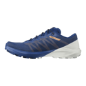 Zapatillas Salomon Sense 4 Pro Azul AW21