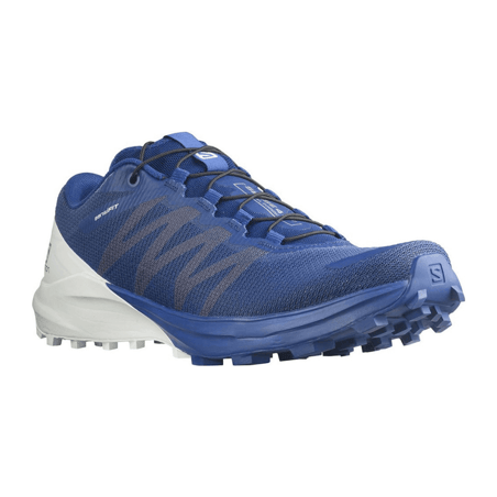 Chaussures Salomon Sense 4 Pro Bleu AW21
