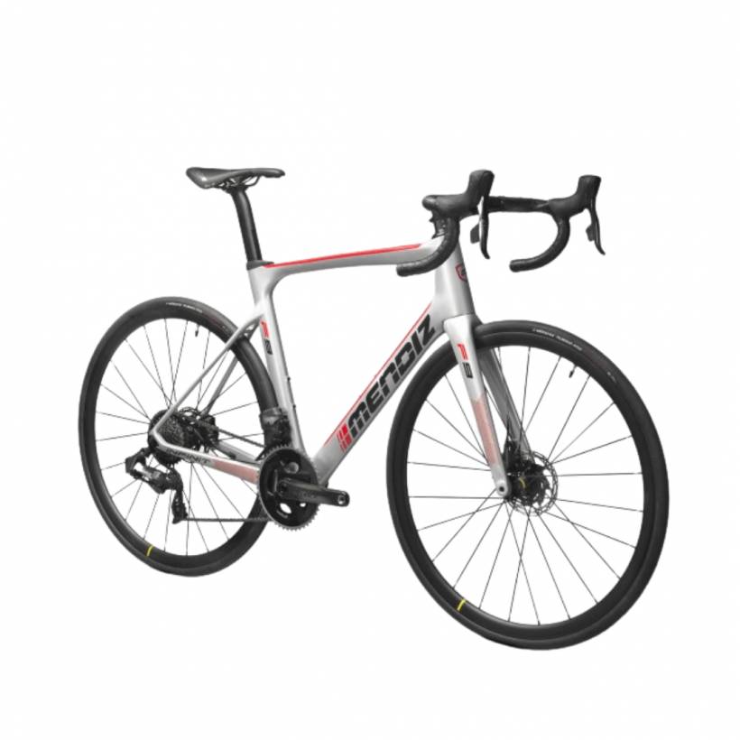 Mendiz F9ICR ONLY Bicycle Gray Silver