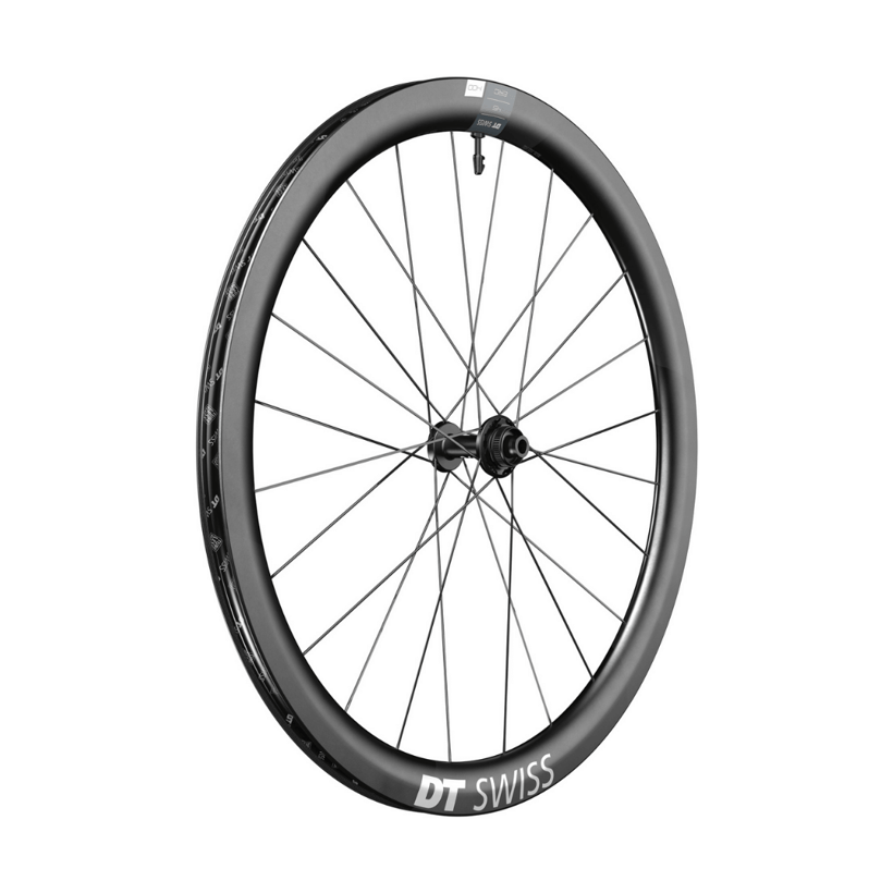 Rueda Delantera DT Swiss ERC 1400 Dicut DB 45 12/100 mm