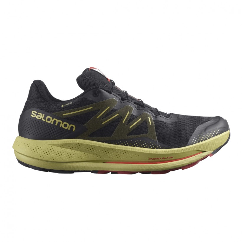 Kilde Alle Ondartet tumor Sale Salomon Pulsair Trail Gore-Tex Schuhe Schwarz | Bestpreis