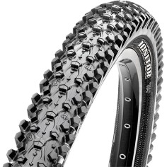 Maxxis ignitor 29x2 1 2025