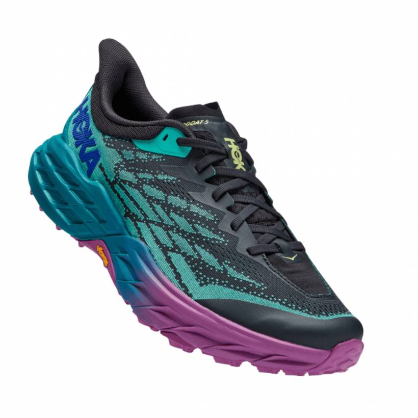 Sapatos Hoka One One Speedgoat 5 Púrpura Azul AW22