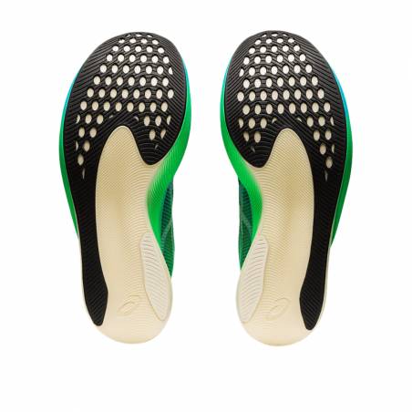 Sapatos Asics Metaspeed Sky+ Verde Azul AW22