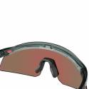 Oakley Sonnenbrille Prizm Violett Linsen