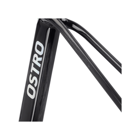 Factor Ostro VAM frameset met carbon schijfvork