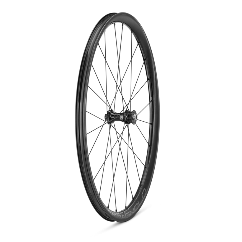 Wheelset Campagnolo Levante 700C DB 2WF HG