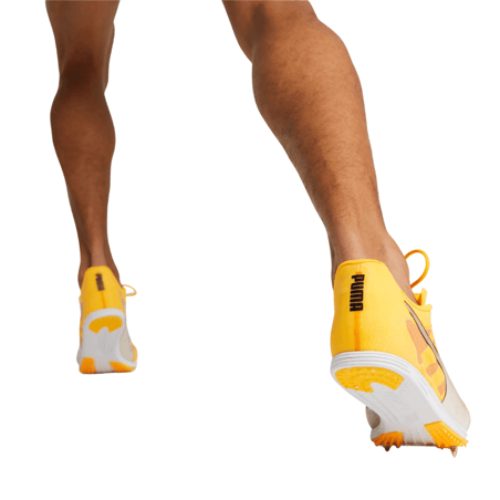 Zapatillas Puma EvoSpeed Distance 10 Amarillo AW22