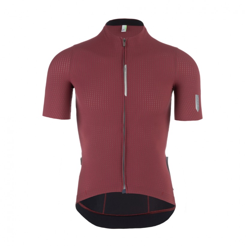 Jersey Q36.5 short sleeve Pinstripe Pro Siena