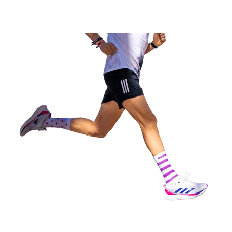 Socks Sporcks Legend Purple
