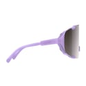 Lunettes POC Devour Violet Quartz Verres Noirs
