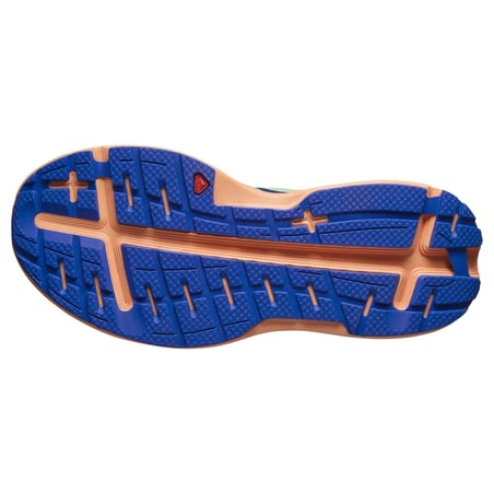 Shoes Salomon Aero Glide Blue Orange  Woman