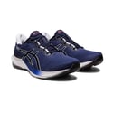 Asics Gel Pulse 14 Blue White Shoes