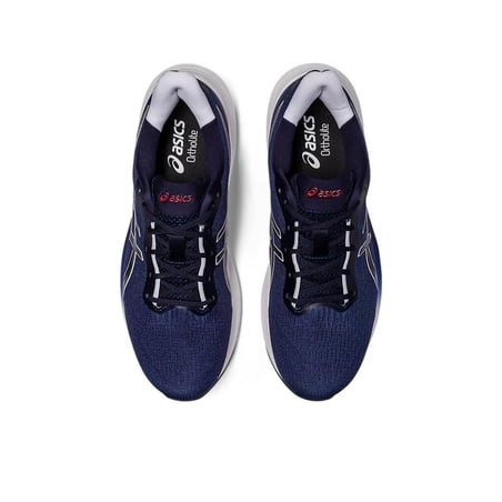 Asics Gel Pulse 14 Blue White Shoes