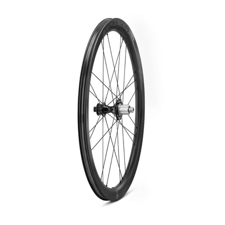 Campagnolo Bora WTO 45 DB C23 XDR Wheelset