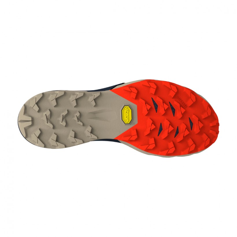 Scarpe Dynafit Alpine Pro 2 Blu Marrone