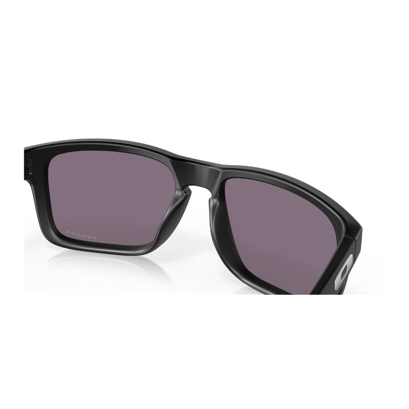 Lunettes Oakley Holbrook Noires Grises