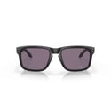 Lunettes Oakley Holbrook Noires Grises