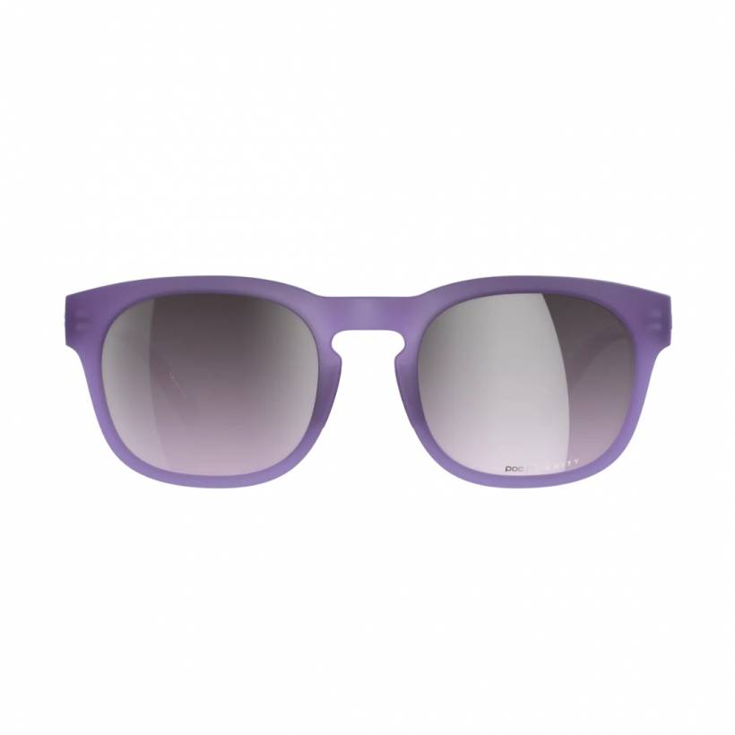 Gafas POC Require Morado