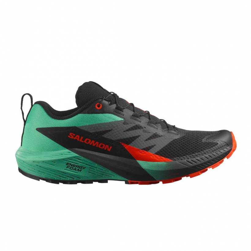 Buty Salomon Sense Ride 5 Czarny Zielony 