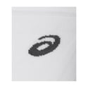 Asics Performance Run Crew Socks White Gray