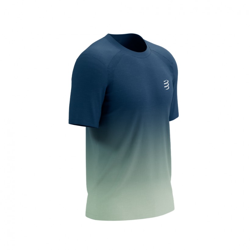 Camiseta Compressport Performance SS Azul Cinza