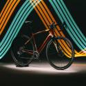 Wilier Triestina Jena Shimano GRX 1x11 Miche Contact Bronze Bike