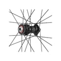 Set Ruote Fulcrum Wind 42 DB 2WF HH12/142 Sram XDR