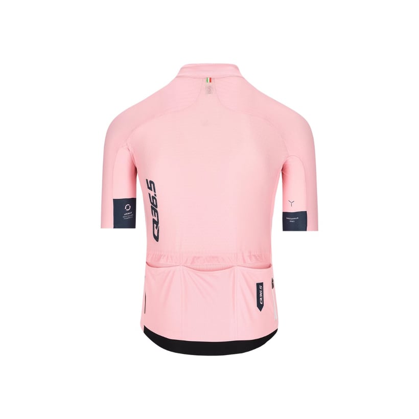 Q36.5 Gregorius Pro Signature Gazzetta roze trui